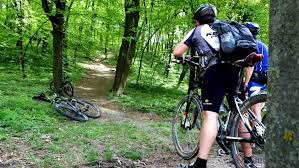 На велосипедах по экологической тропе