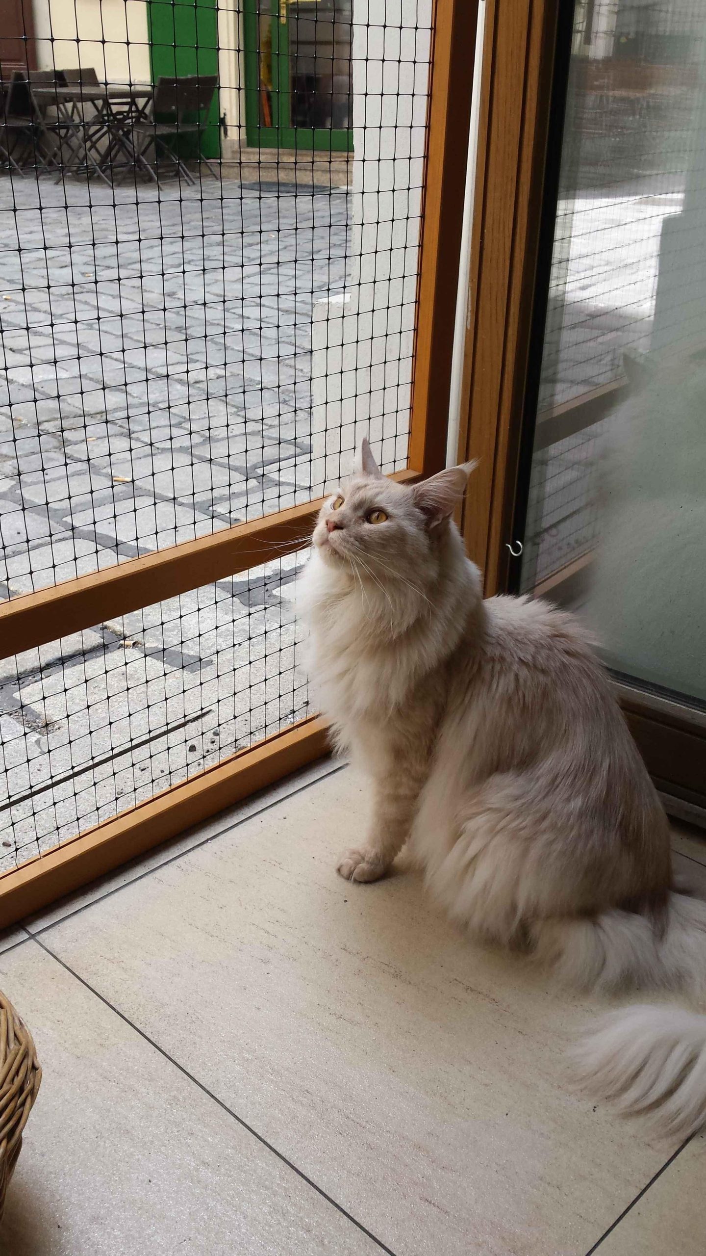 Хандра? Меняем обстановку! Скорее на посуточную квартиру в Киеве, на Оболони!